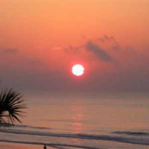 Meet your Posher, Laurie